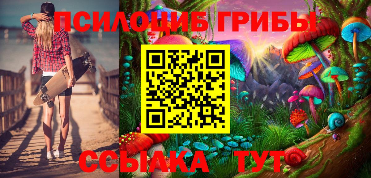 Псилоцибиновые грибы прущие грибы  Галлюциногенные грибы прущие грибы  Вход с VPN  Бердск 
